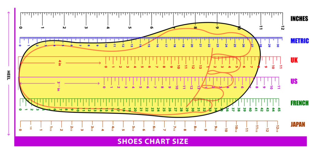 An illustration of a foot overlaid with a chart comparing shoe sizes from around the world