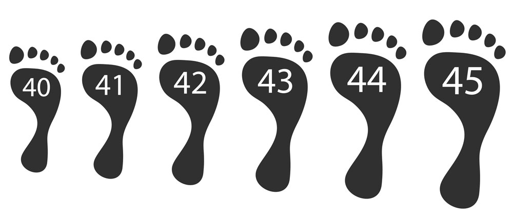 a diagram showing different size footprints with their shoe size written on