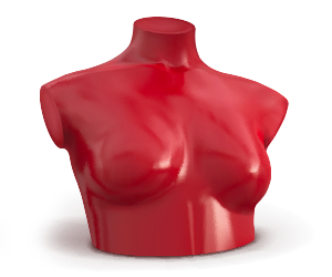 Female mannequin's chest