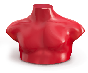 Male mannequin's chest